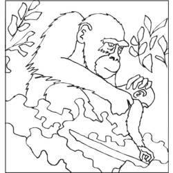 Раскраска: горилла (Животные) #7498 - Бесплатные раскраски для печати