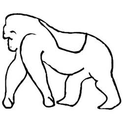 Раскраска: горилла (Животные) #7502 - Бесплатные раскраски для печати