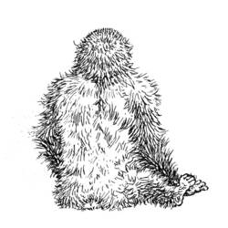 Раскраска: горилла (Животные) #7507 - Бесплатные раскраски для печати