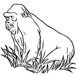 Раскраска: горилла (Животные) #7514 - Раскраски для печати