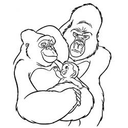 Раскраска: горилла (Животные) #7522 - Раскраски для печати
