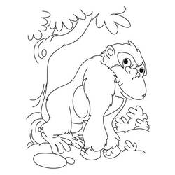 Раскраска: горилла (Животные) #7534 - Бесплатные раскраски для печати