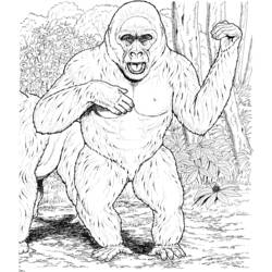 Раскраска: горилла (Животные) #7561 - Раскраски для печати