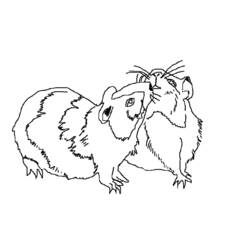 Раскраска: хомяк (Животные) #8023 - Бесплатные раскраски для печати