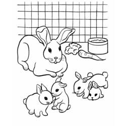 Раскраска: хомяк (Животные) #8072 - Раскраски для печати