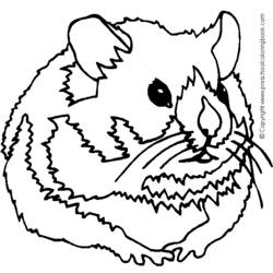 Раскраска: хомяк (Животные) #8139 - Бесплатные раскраски для печати