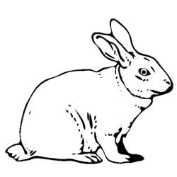 Раскраска: заяц (Животные) #10077 - Раскраски для печати