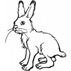 Раскраска: заяц (Животные) #10098 - Раскраски для печати