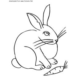 Раскраска: заяц (Животные) #10124 - Раскраски для печати