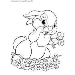 Раскраска: заяц (Животные) #10126 - Раскраски для печати