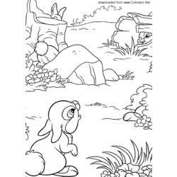Раскраска: заяц (Животные) #10133 - Раскраски для печати