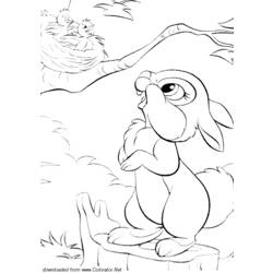 Раскраска: заяц (Животные) #10143 - Раскраски для печати