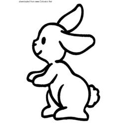Раскраски: заяц - Раскраски для печати