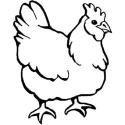 Раскраска: курица (Животные) #17426 - Раскраски для печати