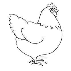 Раскраски: курица - Раскраски для печати
