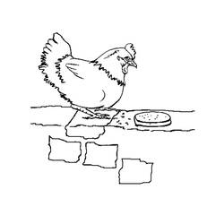 Раскраска: курица (Животные) #17434 - Бесплатные раскраски для печати