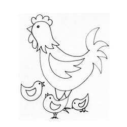 Раскраска: курица (Животные) #17444 - Бесплатные раскраски для печати