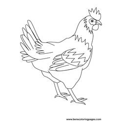 Раскраска: курица (Животные) #17446 - Раскраски для печати