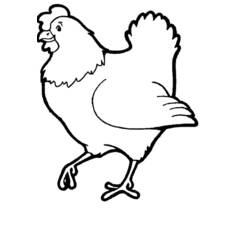 Раскраска: курица (Животные) #17448 - Раскраски для печати