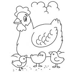 Раскраска: курица (Животные) #17449 - Раскраски для печати
