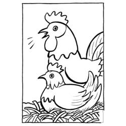 Раскраска: курица (Животные) #17455 - Бесплатные раскраски для печати