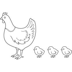 Раскраска: курица (Животные) #17456 - Раскраски для печати