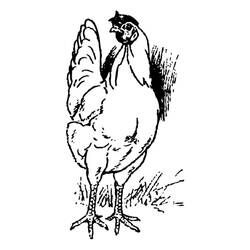 Раскраска: курица (Животные) #17460 - Бесплатные раскраски для печати