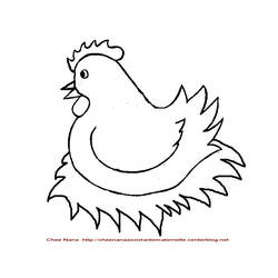 Раскраска: курица (Животные) #17498 - Раскраски для печати