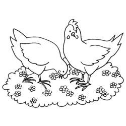 Раскраска: курица (Животные) #17505 - Раскраски для печати