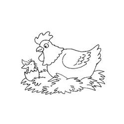 Раскраска: курица (Животные) #17511 - Бесплатные раскраски для печати