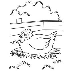 Раскраска: курица (Животные) #17535 - Бесплатные раскраски для печати