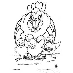 Раскраска: курица (Животные) #17543 - Бесплатные раскраски для печати