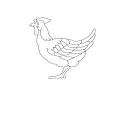Раскраска: курица (Животные) #17584 - Бесплатные раскраски для печати