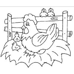 Раскраска: курица (Животные) #17586 - Раскраски для печати