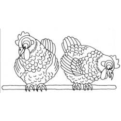 Раскраска: курица (Животные) #17589 - Бесплатные раскраски для печати