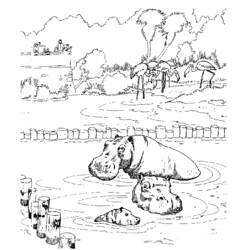 Раскраска: гиппопотам (Животные) #8737 - Бесплатные раскраски для печати