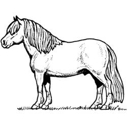 Раскраска: лошадь (Животные) #2162 - Бесплатные раскраски для печати