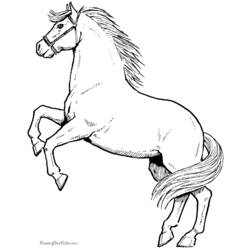 Раскраска: лошадь (Животные) #2164 - Раскраски для печати