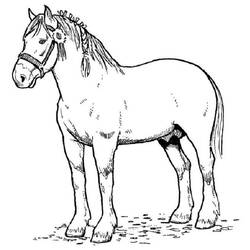 Раскраска: лошадь (Животные) #2168 - Раскраски для печати