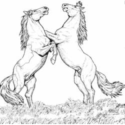 Раскраска: лошадь (Животные) #2170 - Бесплатные раскраски для печати