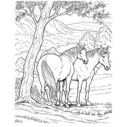 Раскраска: лошадь (Животные) #2172 - Раскраски для печати