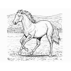 Раскраска: лошадь (Животные) #2174 - Раскраски для печати
