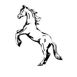 Раскраска: лошадь (Животные) #2190 - Раскраски для печати