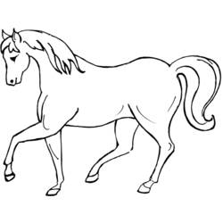 Раскраска: лошадь (Животные) #2195 - Раскраски для печати