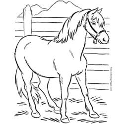 Раскраска: лошадь (Животные) #2197 - Раскраски для печати
