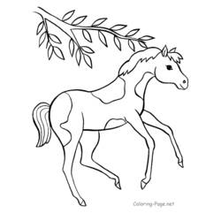 Раскраска: лошадь (Животные) #2202 - Бесплатные раскраски для печати