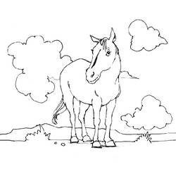 Раскраска: лошадь (Животные) #2206 - Бесплатные раскраски для печати