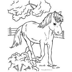 Раскраска: лошадь (Животные) #2212 - Бесплатные раскраски для печати