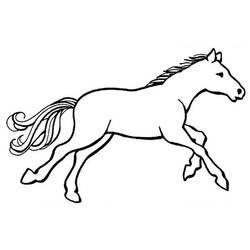 Раскраска: лошадь (Животные) #2213 - Раскраски для печати