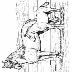 Раскраска: лошадь (Животные) #2222 - Бесплатные раскраски для печати